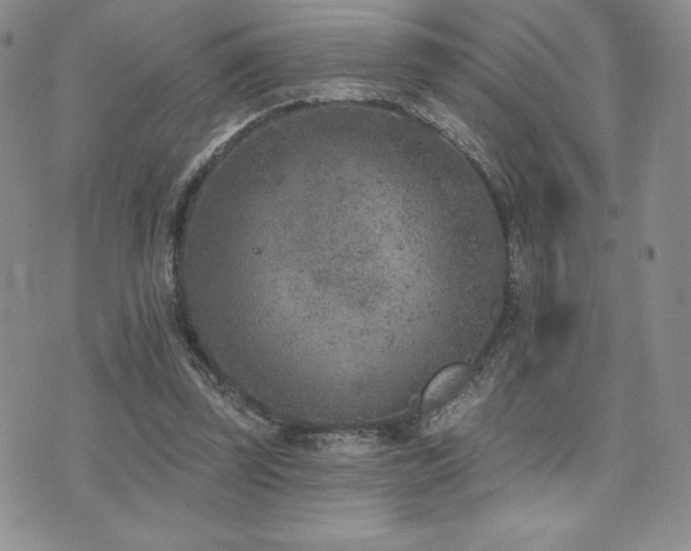 X0000071960347200607071458