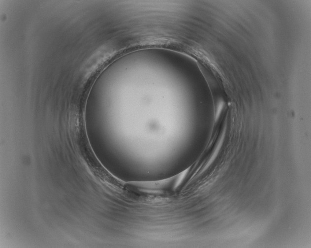 X0000071960348200607071458