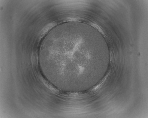 X0000071960349200607071458