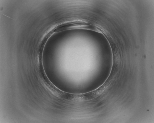 X0000071960350200607071458