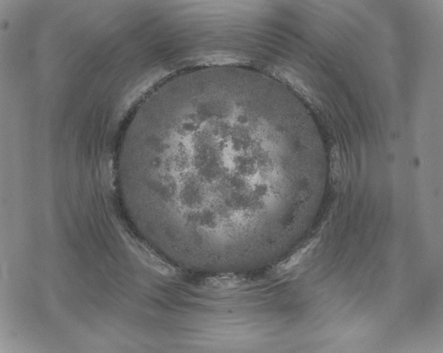 X0000071960351200607071458