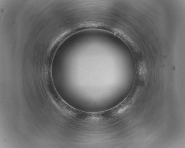 X0000071960352200607071458