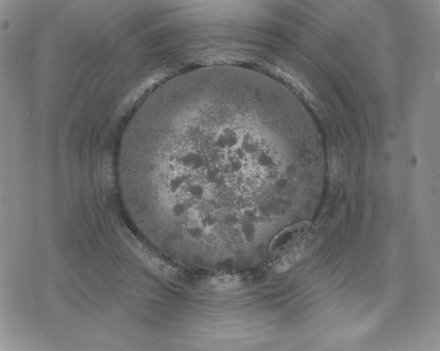 X0000071960353200607071458