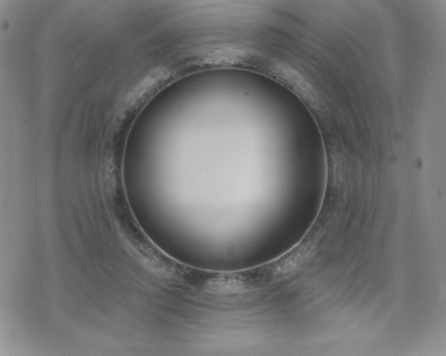 X0000071960354200607071458