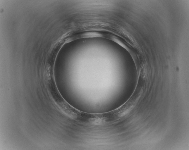 X0000071960356200607071458