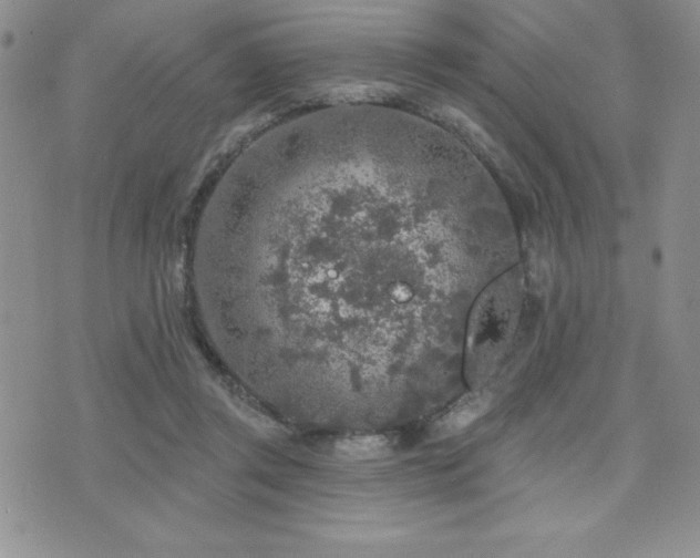 X0000071960357200607071458