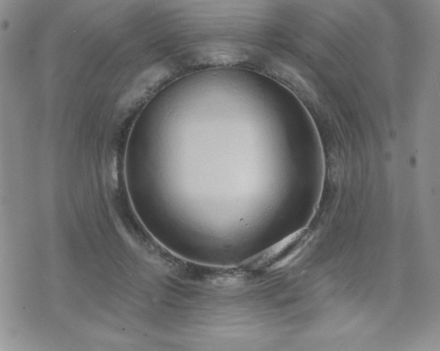 X0000071960358200607071458