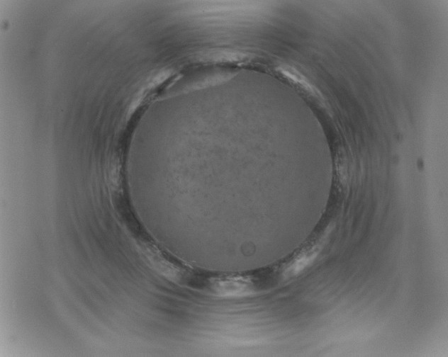 X0000071960359200607071458