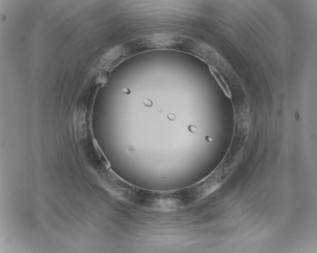 X0000071960360200607071458