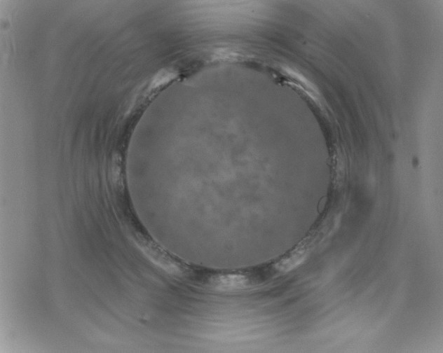 X0000071960361200607071458