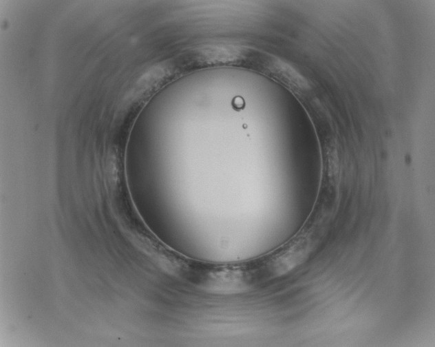 X0000071960362200607071458