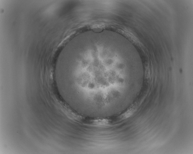 X0000071960363200607071458