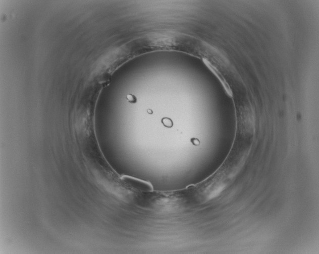 X0000071960364200607071458