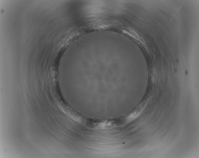 X0000071960366200607071458