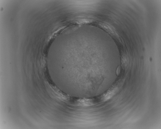 X0000071960367200607071458