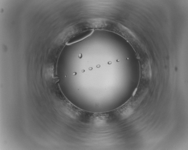 X0000071960368200607071458