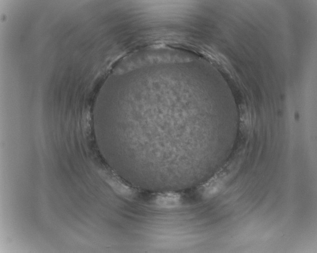 X0000071960369200607071458