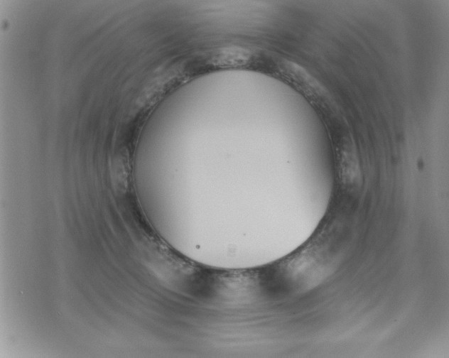 X0000071960370200607071459