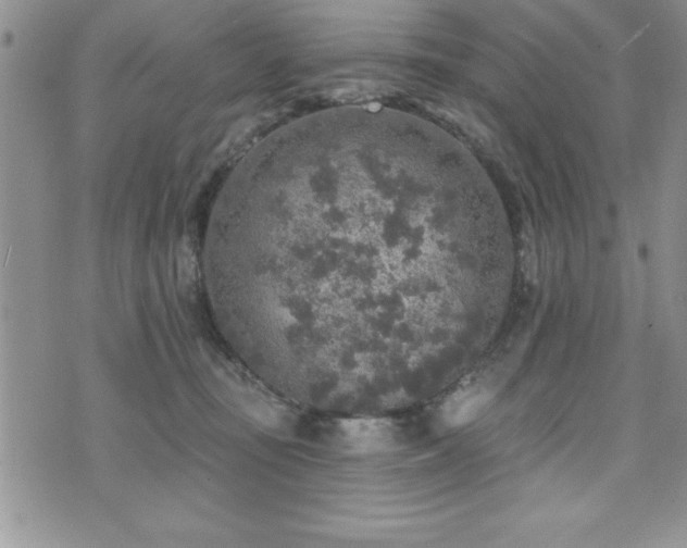 X0000071960371200607071459