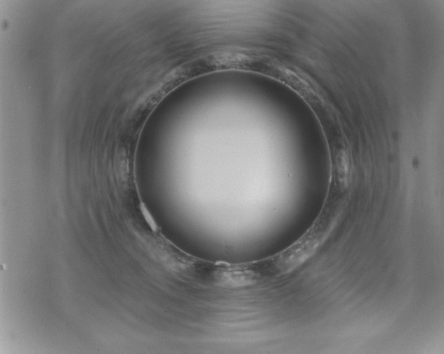 X0000071960372200607071459