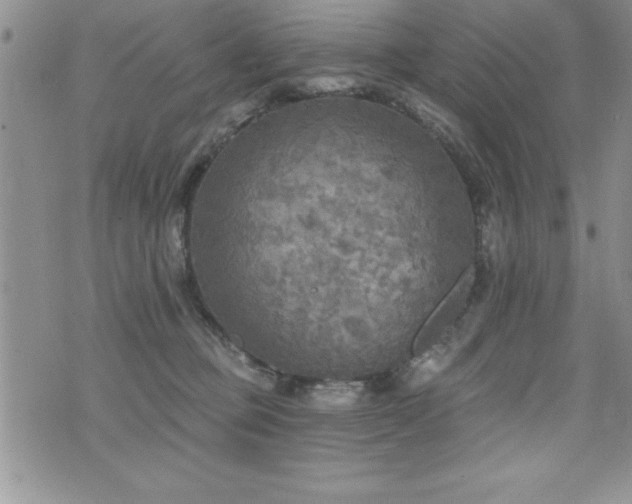 X0000071960373200607071459