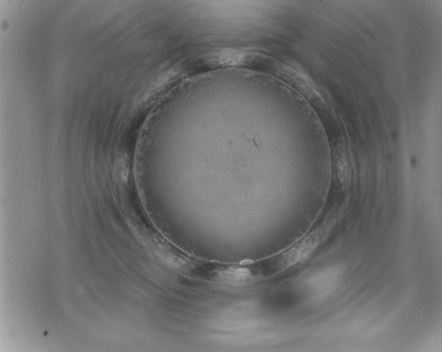 X0000071960374200607071459