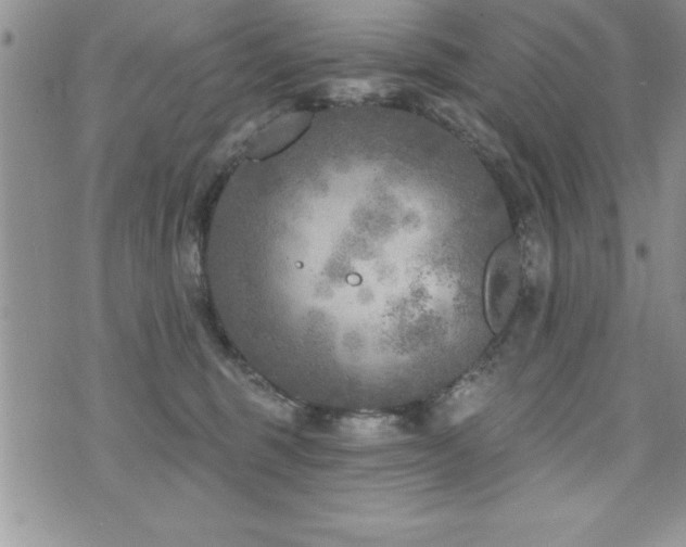 X0000071960375200607071459