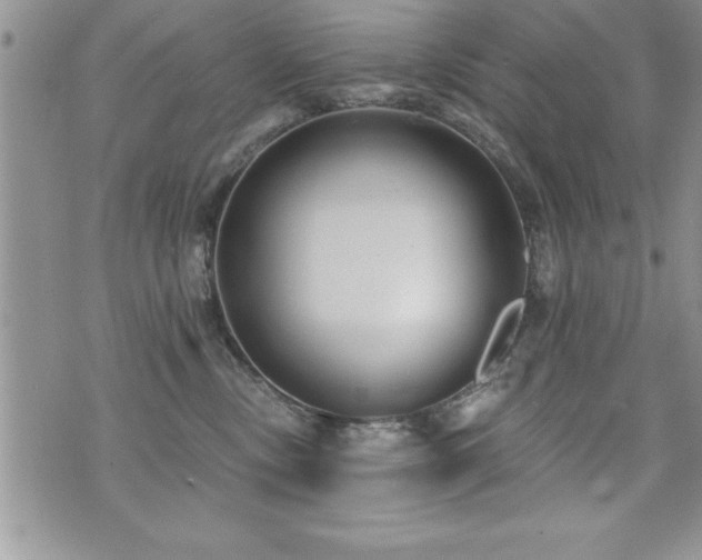 X0000071960378200607071459