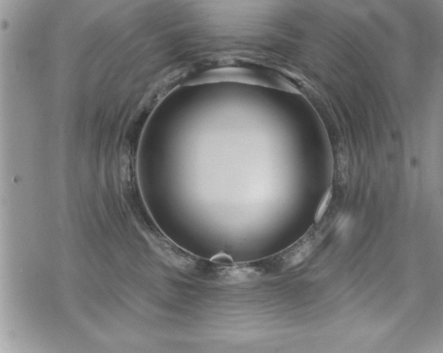 X0000071960379200607071459