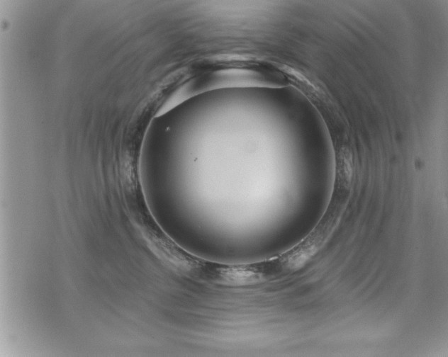 X0000071960380200607071459