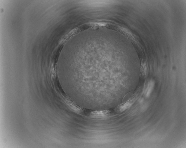 X0000071960381200607071459