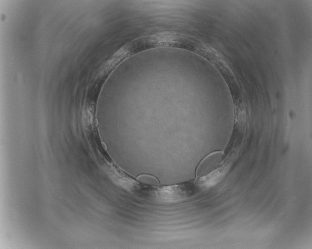 X0000071960382200607071459