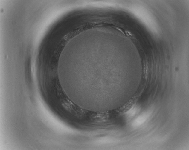 X0000071960383200607071459