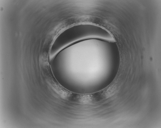 X0000071960384200607071459