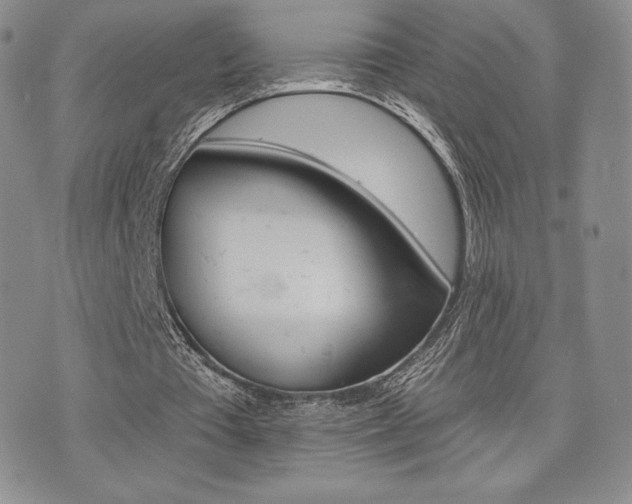 X0000071960385200607071458