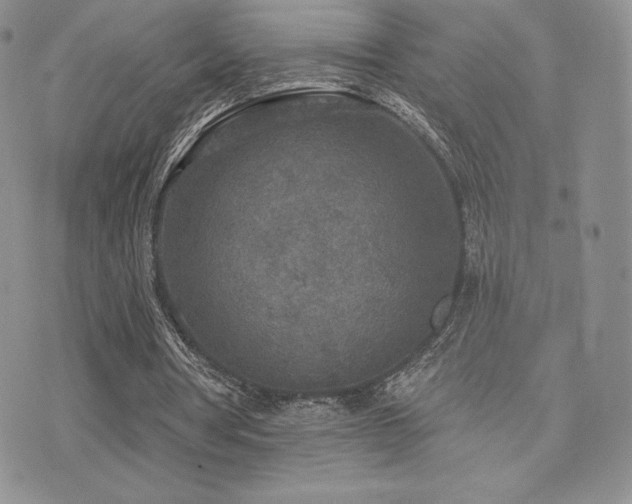 X0000071960386200607071458