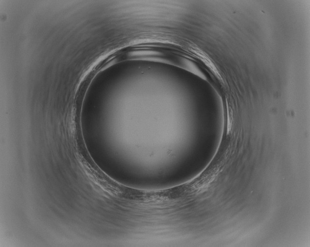 X0000071960387200607071458