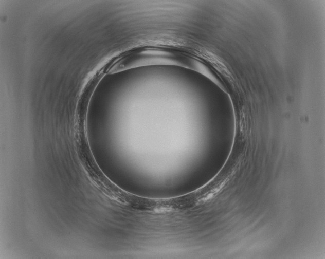 X0000071960388200607071458