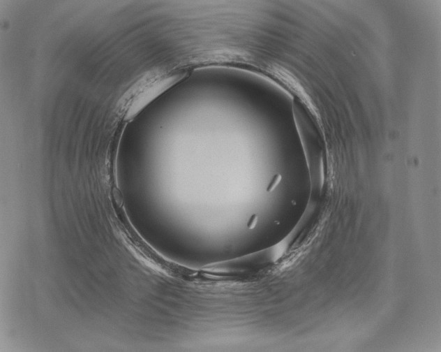 X0000071960389200607071458