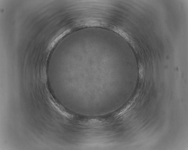 X0000071960390200607071458