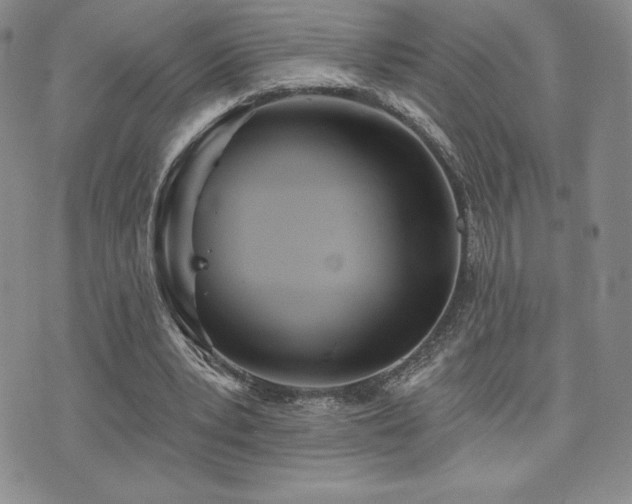 X0000071960391200607071458