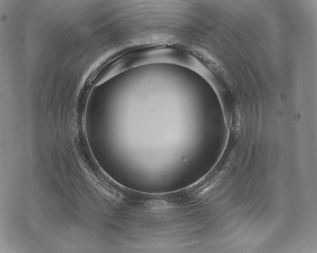 X0000071960392200607071458