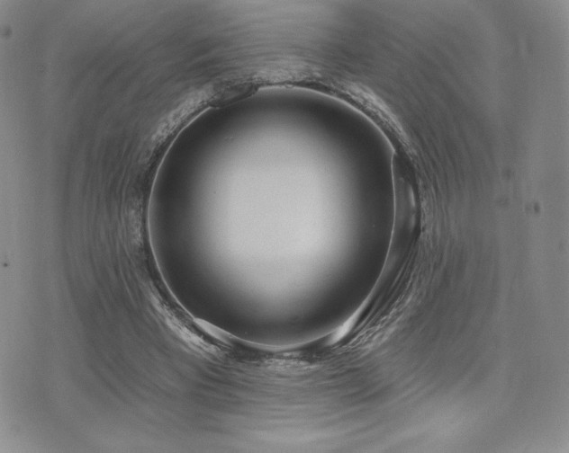 X0000071960393200607071458