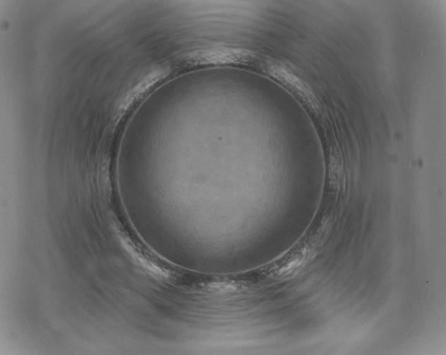 X0000071960394200607071458