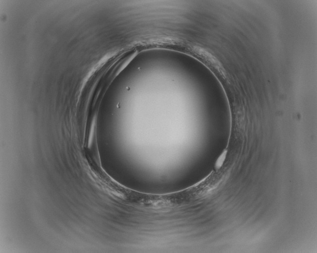 X0000071960395200607071458