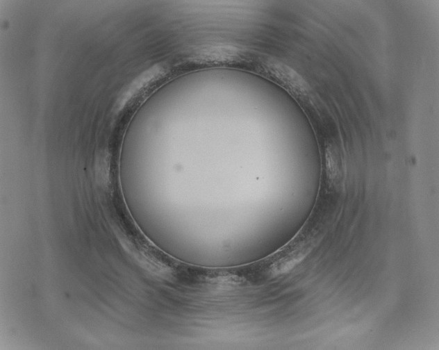 X0000071960396200607071458