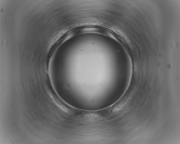 X0000071960397200607071458