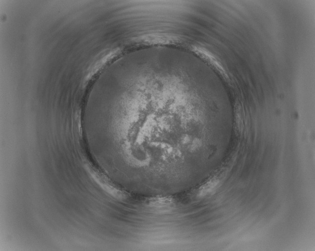 X0000071960398200607071458