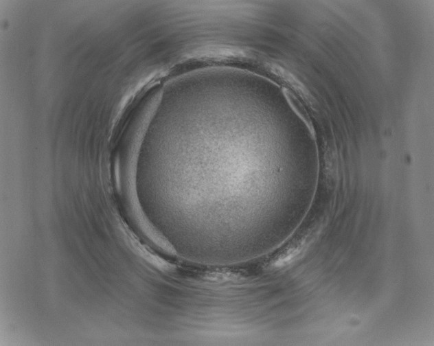 X0000071960399200607071458