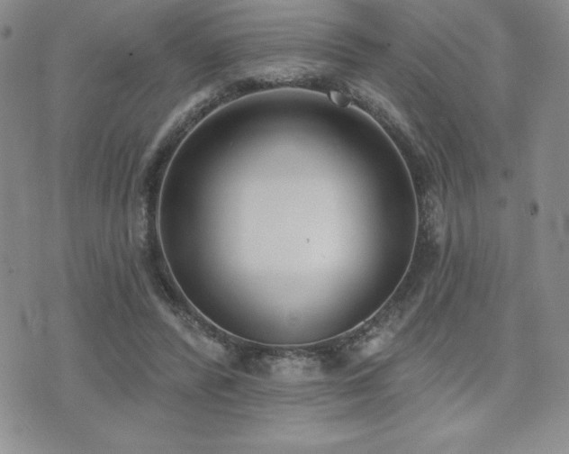 X0000071960400200607071458